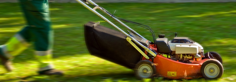 Attrezzi Per Giardino Mundi Siena