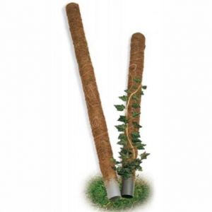 Vendita Bastoni Muschiati Mundi Siena